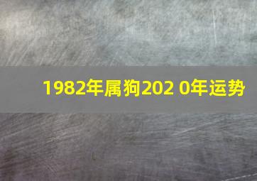 1982年属狗202 0年运势